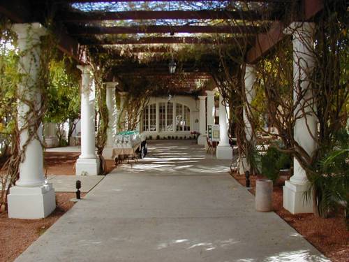 Walkway with vines